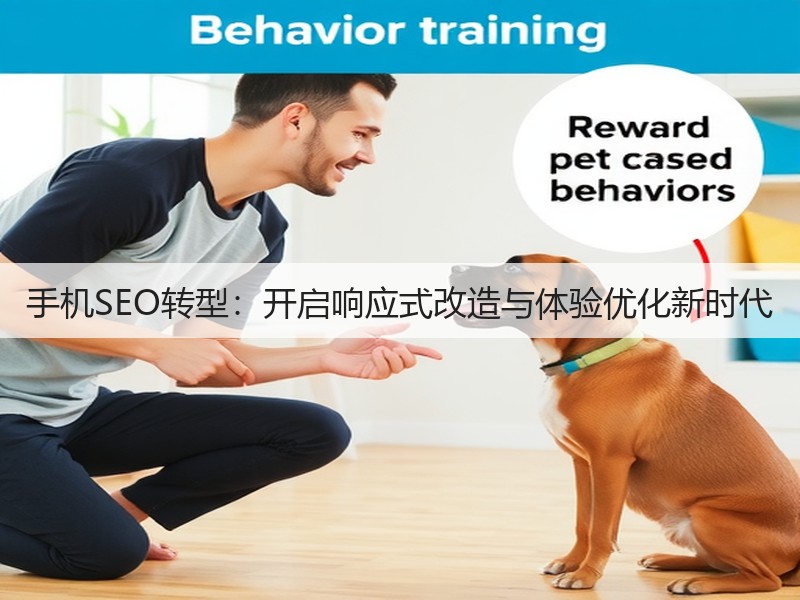 手机SEO转型:开启响应式改造与体验优化新时代(图3) 手机SEO转型:开启响应式改造与体验优化新时代(图3)