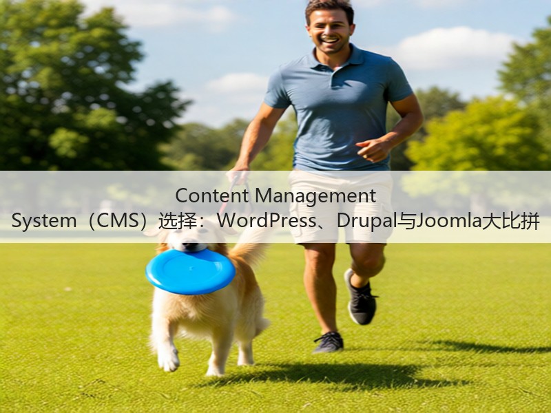 Content Management System(CMS)选择:WordPress、Drupal与Joomla大比拼(图2) Content Management System(CMS)选择:WordPress、Drupal与Joomla大比拼(图2)