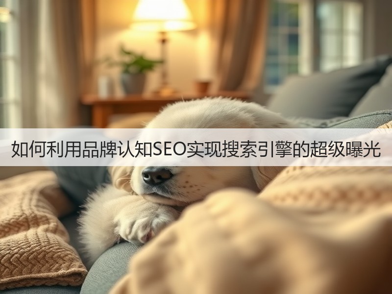 如何利用品牌认知SEO实现搜索引擎的超级曝光(图3) 如何利用品牌认知SEO实现搜索引擎的超级曝光(图3)