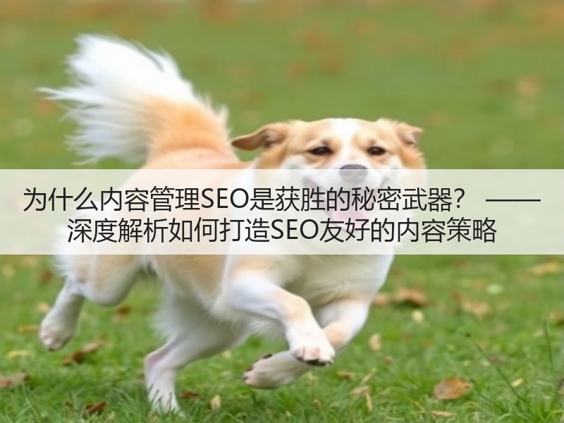 为什么内容管理SEO是获胜的秘密武器? —— 深度解析如何打造SEO友好的内容策略(图3) 为什么内容管理SEO是获胜的秘密武器? —— 深度解析如何打造SEO友好的内容策略(图3)