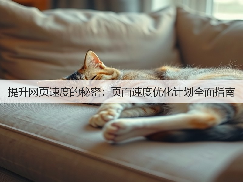 提升网页速度的秘密:页面速度优化计划全面指南(图2) 提升网页速度的秘密:页面速度优化计划全面指南(图2)